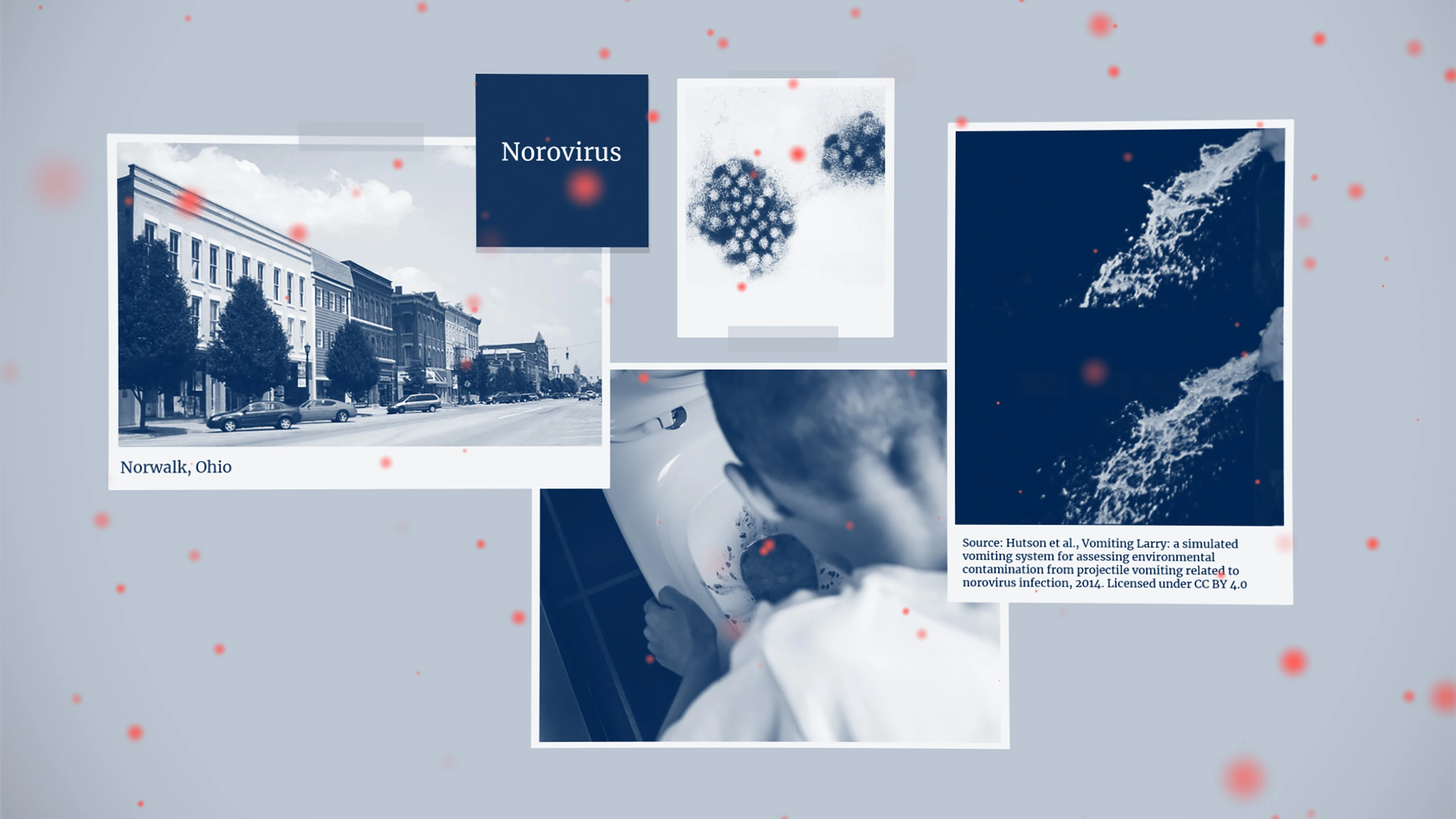 collage of black and white images related to norovirus
